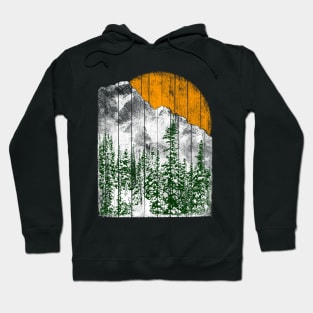 Winter sun Hoodie